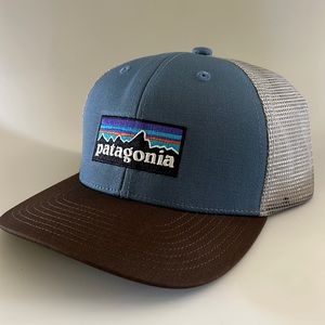 Patagonia Logo Woolly Blue Kids Trucker Hay